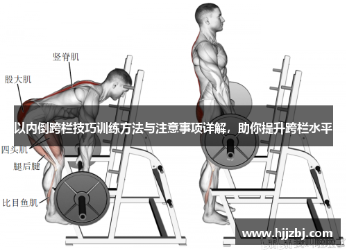 以内倒跨栏技巧训练方法与注意事项详解，助你提升跨栏水平